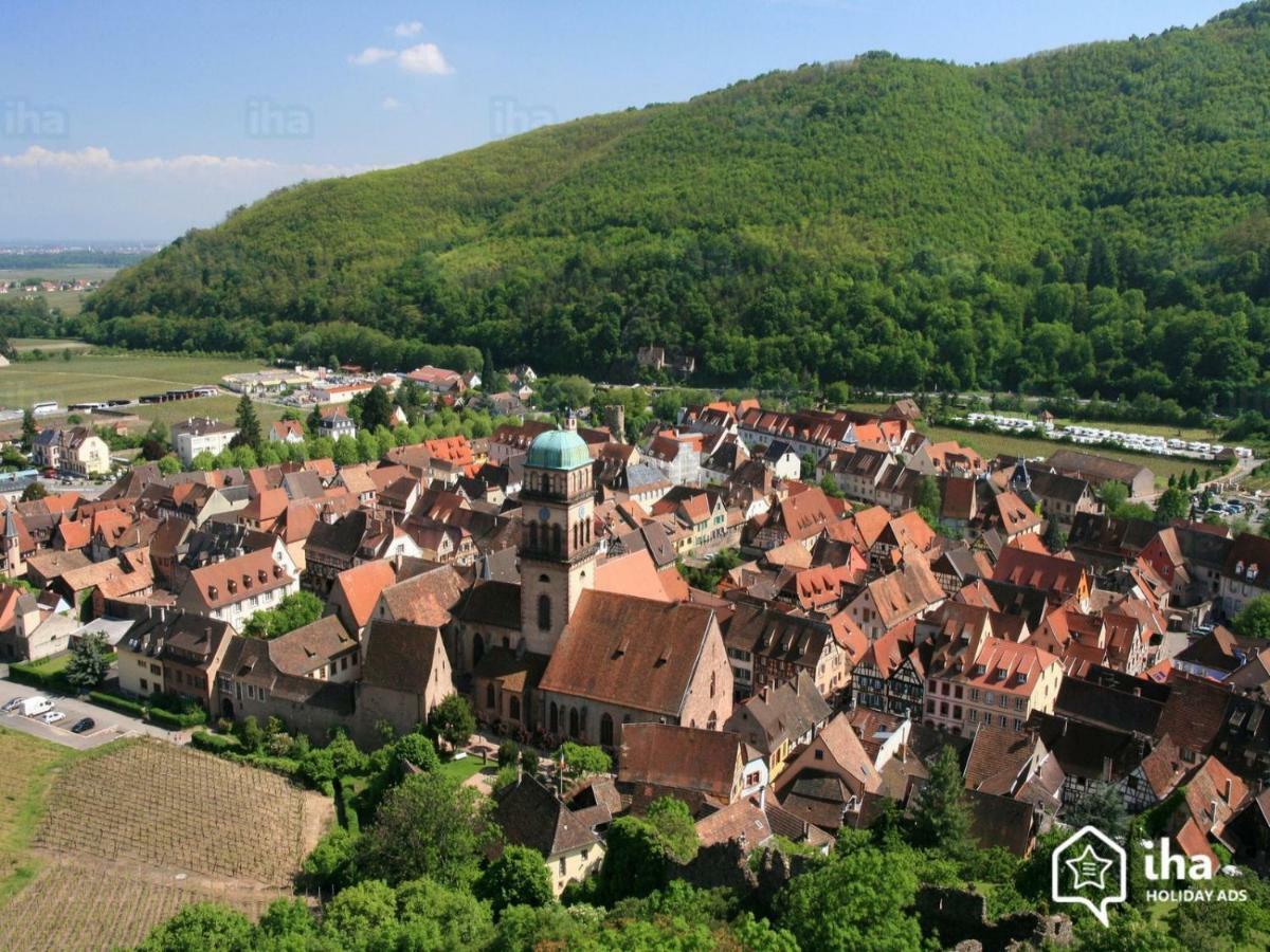 Venez Loger Chez L'Habitant Au Centre De L'Alsace, A Cote D'Europa Park ! Otel Marckolsheim Dış mekan fotoğraf