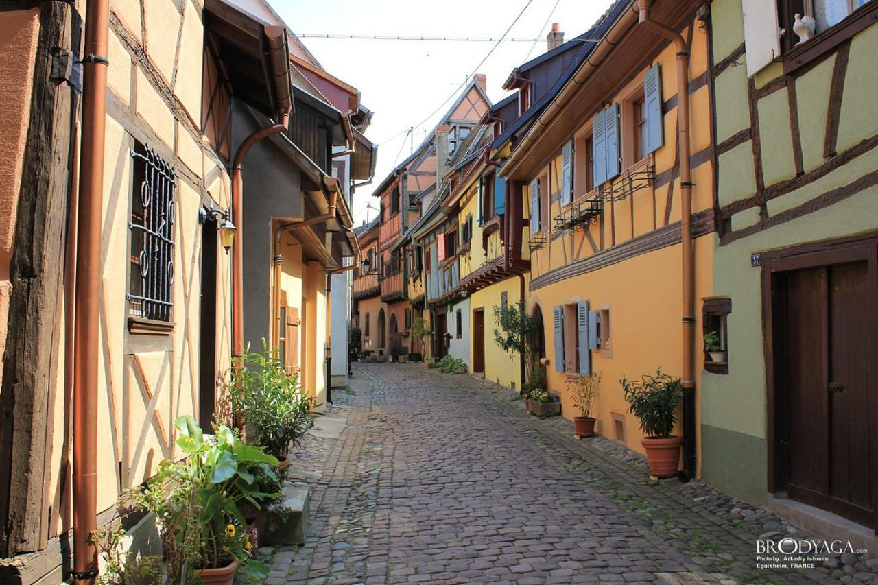 Venez Loger Chez L'Habitant Au Centre De L'Alsace, A Cote D'Europa Park ! Otel Marckolsheim Dış mekan fotoğraf