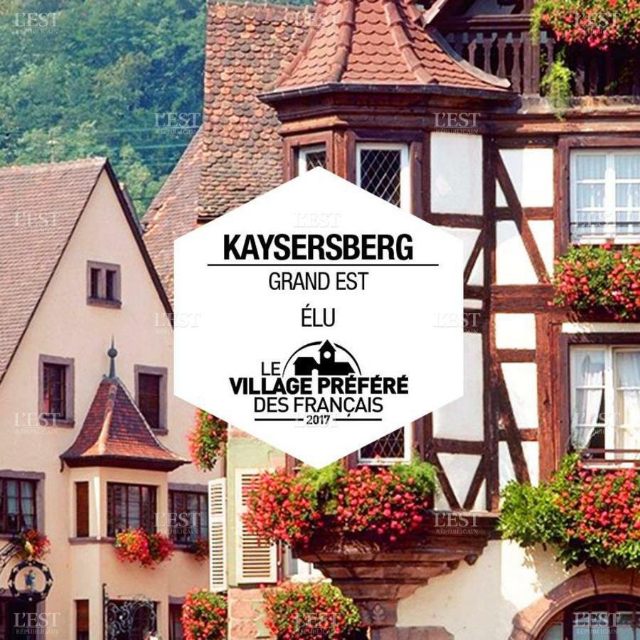 Venez Loger Chez L'Habitant Au Centre De L'Alsace, A Cote D'Europa Park ! Otel Marckolsheim Dış mekan fotoğraf